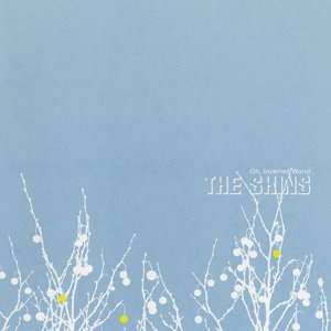 The Shins 5