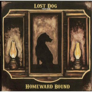 Lost Dog Street Band 3