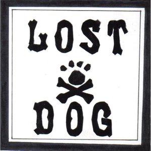 Lost Dog Street Band 2