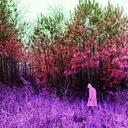 Relocated a Mountain