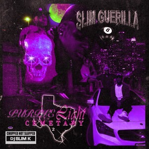 Slim Guerilla 1