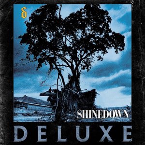 Shinedown 2