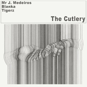 Mr. J. Medeiros 11