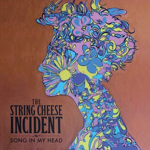 The String Cheese Incident 6