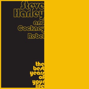 Steve Harley 14