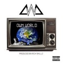 Own World