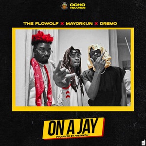 Mayorkun 3