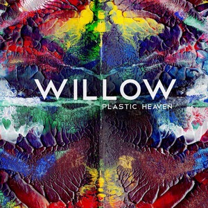 WILLOW 8