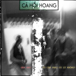 Cá Hồi Hoang 8