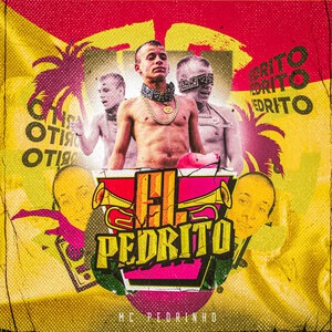 Mc Pedrinho 31