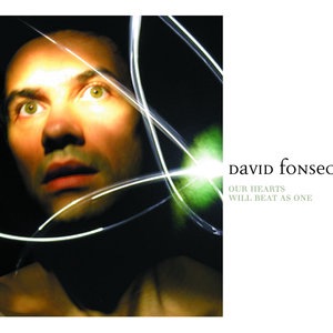David Fonseca 2