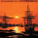 Siamese Fighting Fish