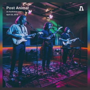 Post Animal 4