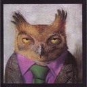 La Hermosa Langosta Aplastada en la Vereda