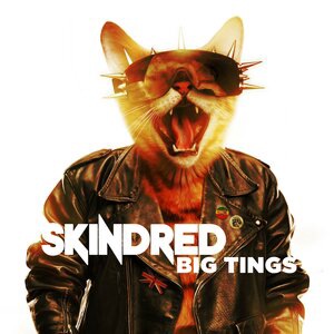 Skindred 4