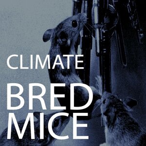 Sun Sunk Past Ragtime