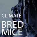 Sun Sunk Past Ragtime