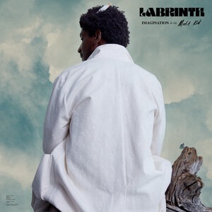 Labrinth 29