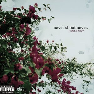 Never Shout Never 6