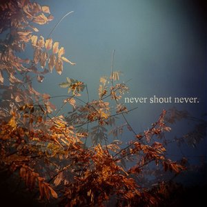 Never Shout Never 5