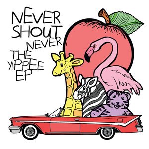 Never Shout Never 3