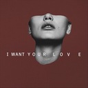 I Want Your Love