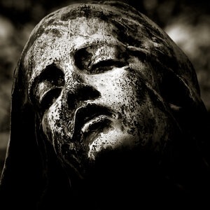 Que des yeux vides et séchés