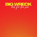 The Fly and the Bowl