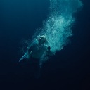 Sadness is a Shade of Blue