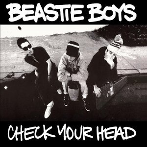 Beastie Boys 5