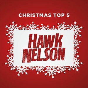 Hawk Nelson 1