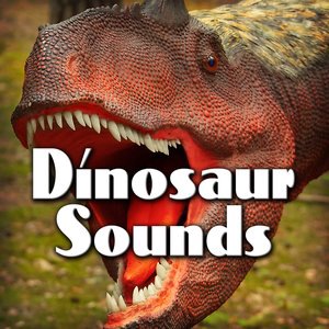 Sound Effects Library 9