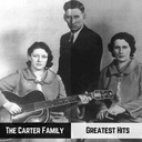 Bury Me Under the Weeping Willow Tree