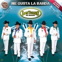 Me Gusta La Banda (Versión Banda Sinaloense)