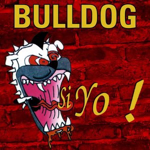 Bulldog 7