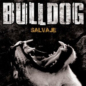 Bulldog 3