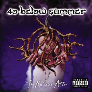 40 Below Summer 1