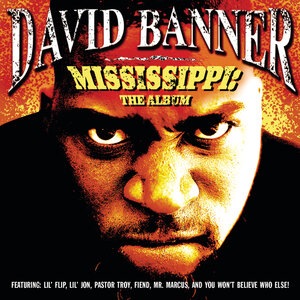 David Banner 13