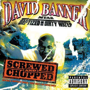 David Banner 7