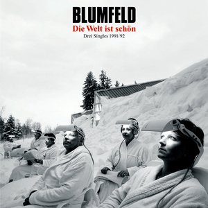 Blumfeld 1