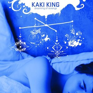 Kaki King 3