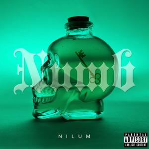 NILUM 2