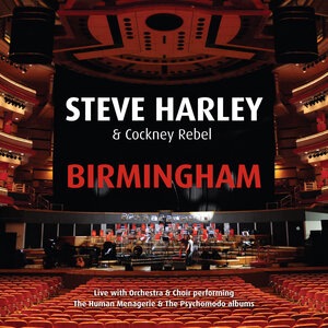 Steve Harley 5