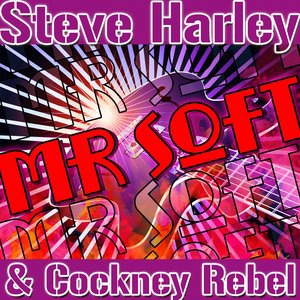 Steve Harley 4