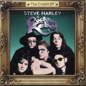 Steve Harley 2