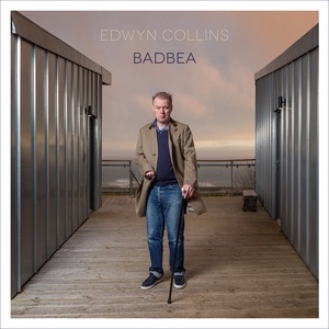 Edwyn Collins 6