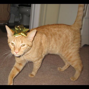 Greatest Song Ever Written