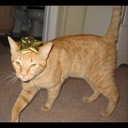 Greatest Song Ever Written