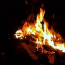 Красные Розы