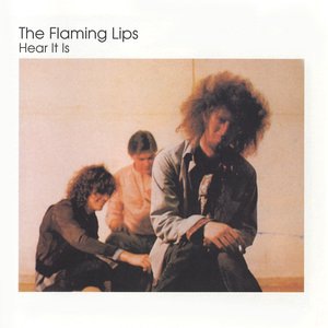 The Flaming Lips 11